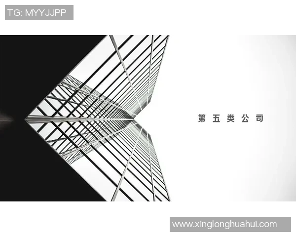 张帆：在风云变幻的时代中探索自我与未来的无限可能