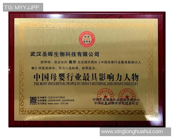 拉波尔特的崛起与影响力探讨:从个人成就到全球视野的多维分析