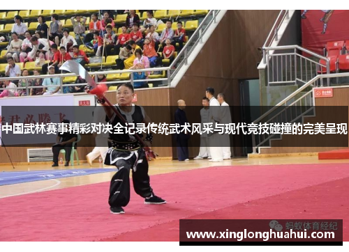 中国武林赛事精彩对决全记录传统武术风采与现代竞技碰撞的完美呈现