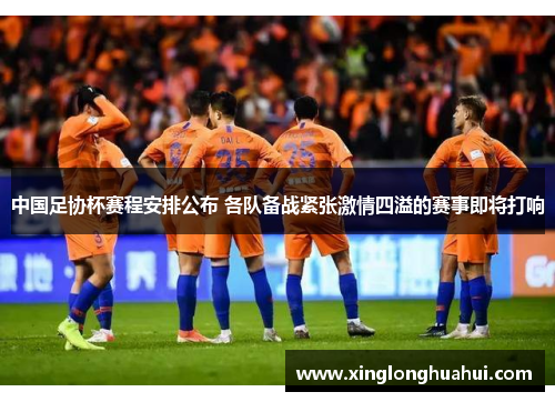 中国足协杯赛程安排公布 各队备战紧张激情四溢的赛事即将打响