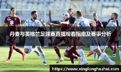 3377体育官网入口